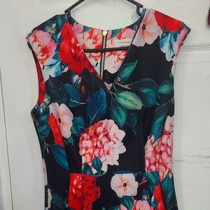 Calvin Klein Sleeveless Floral Dress